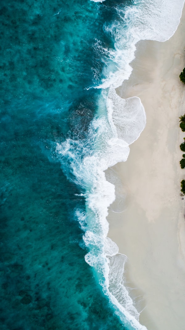 清澈的河流源头