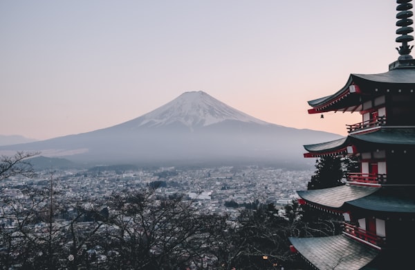 花瓣飘舞的梦幻场景